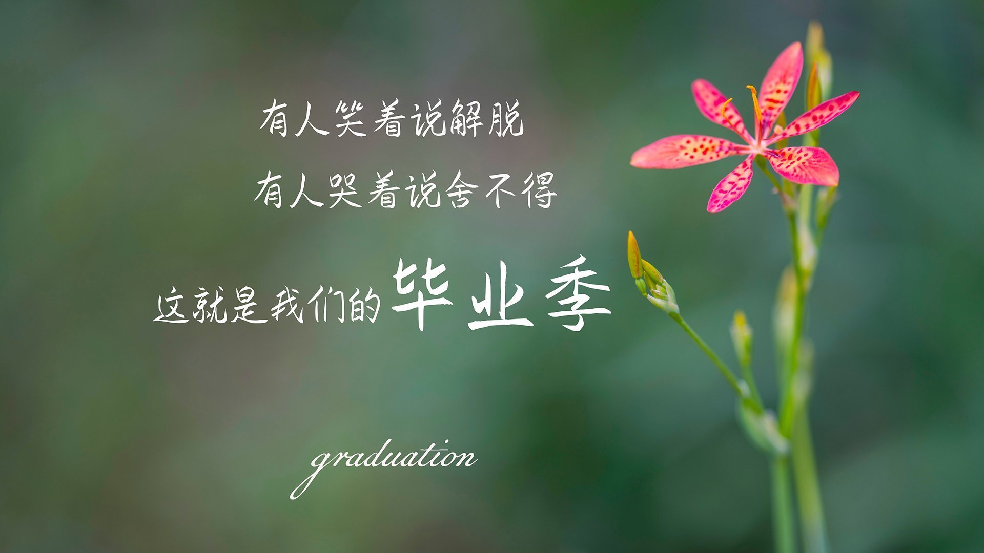 特色篮球文化主题公园成为城市夜间经济的亮丽风景线，篮球公园名称