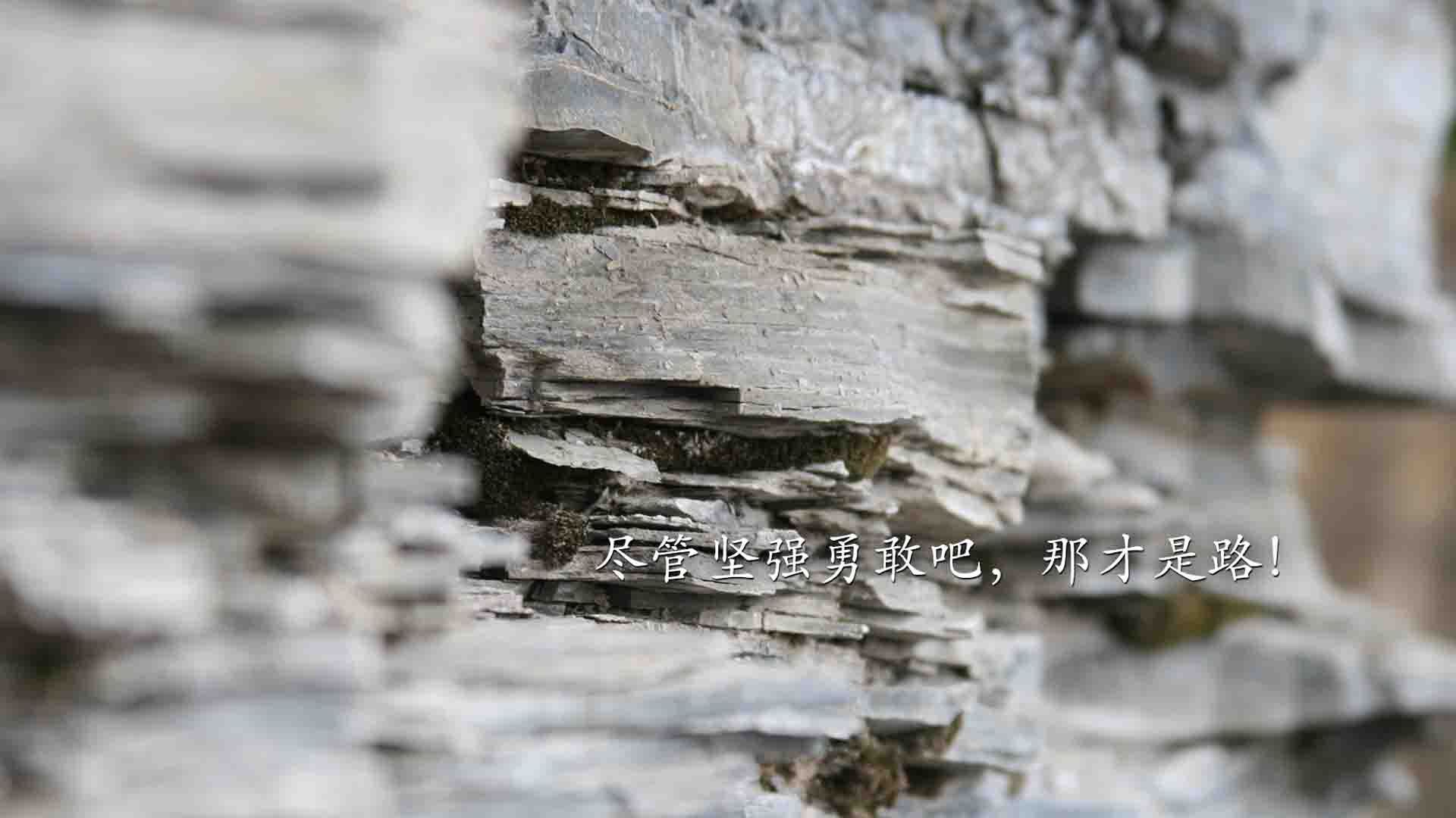 赛事揭秘：幕后策划的故事与难题，幕后策划者英文