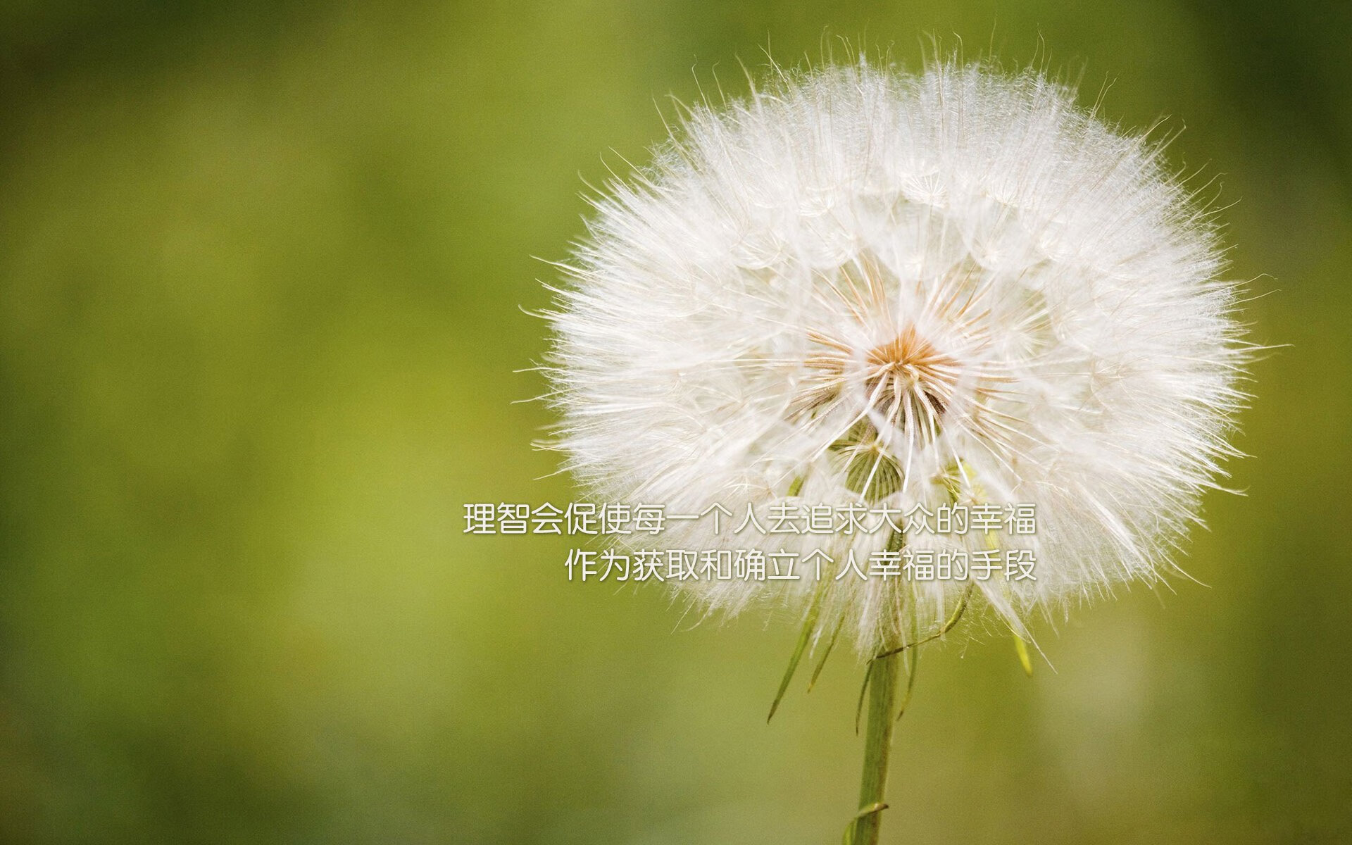 墨西哥队计划引进海外归国球员，墨西哥国家队最新大名单