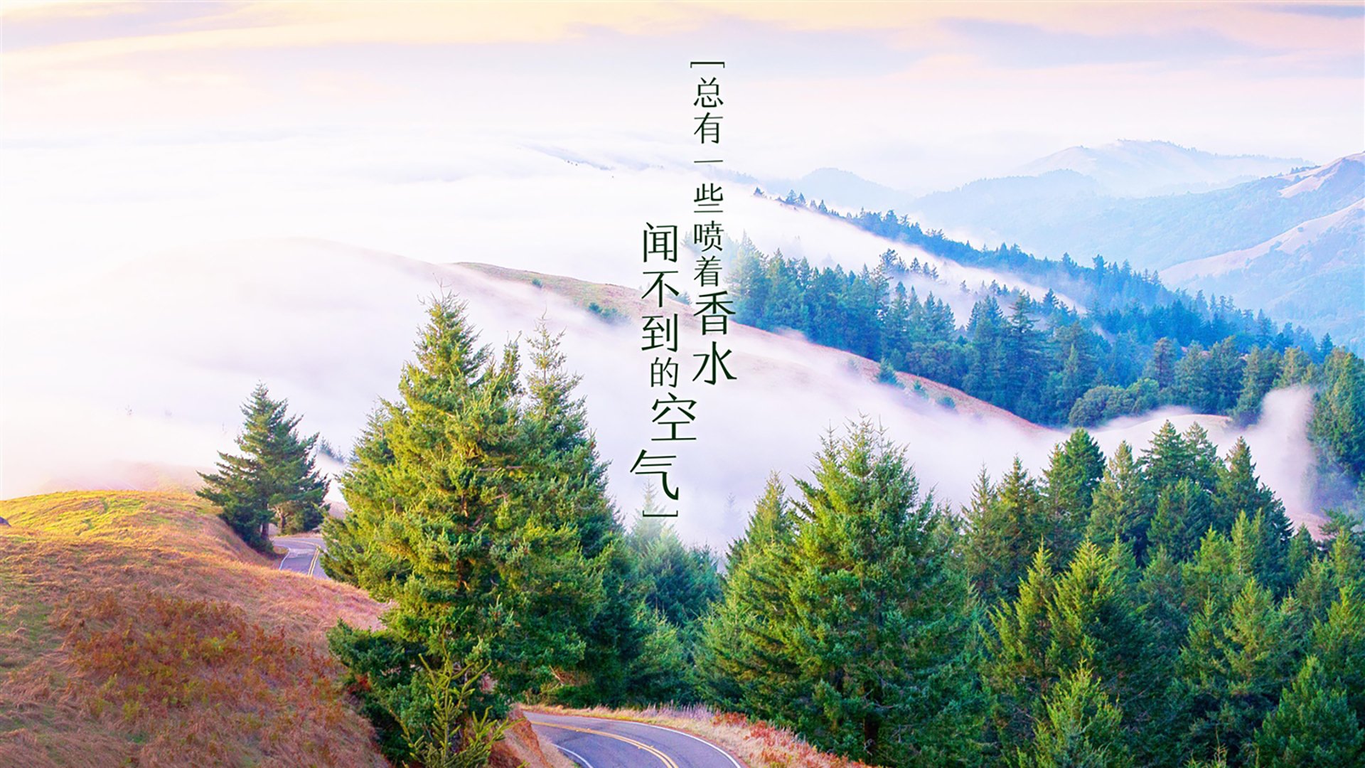 巴黎普利斯客场轻取马赛，豪取联赛领跑，巴黎的吉普赛人