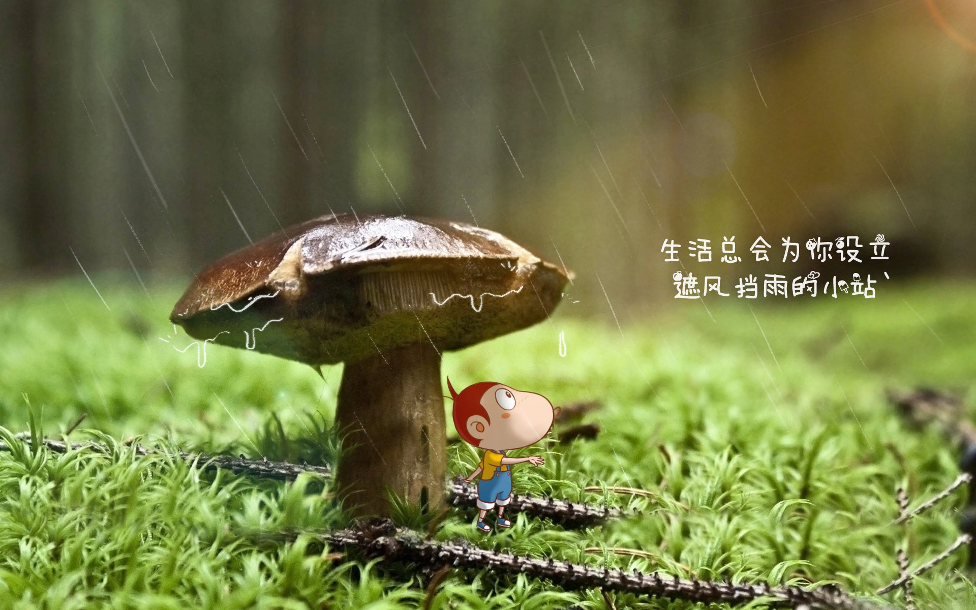 曼联战胜狼队，拉什福德梅开二度状态回暖，曼联前锋拉什福德