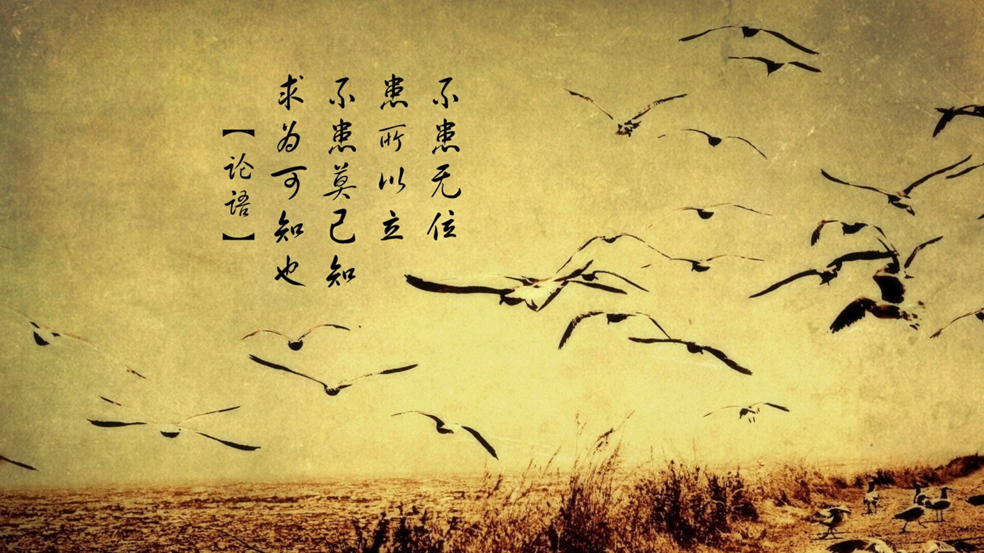 霍芬海姆主场守住胜利，继续保持稳定，霍芬海姆球迷站