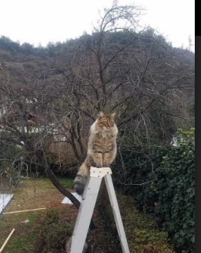 高校体育设施开放共享成效显著，高校体育设施建设