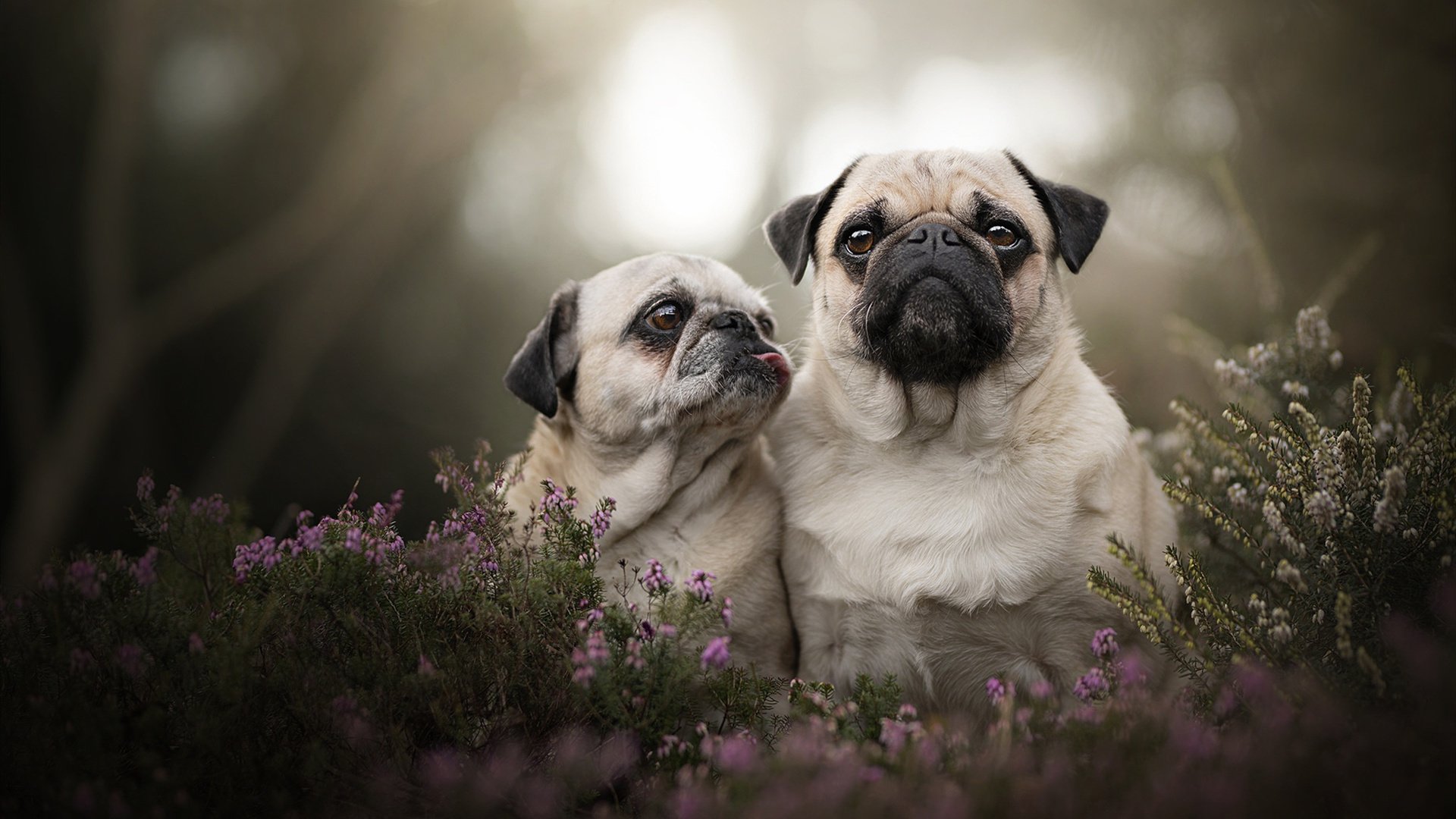 国家队主力接受心理辅导提升高压环境下专注与稳定性