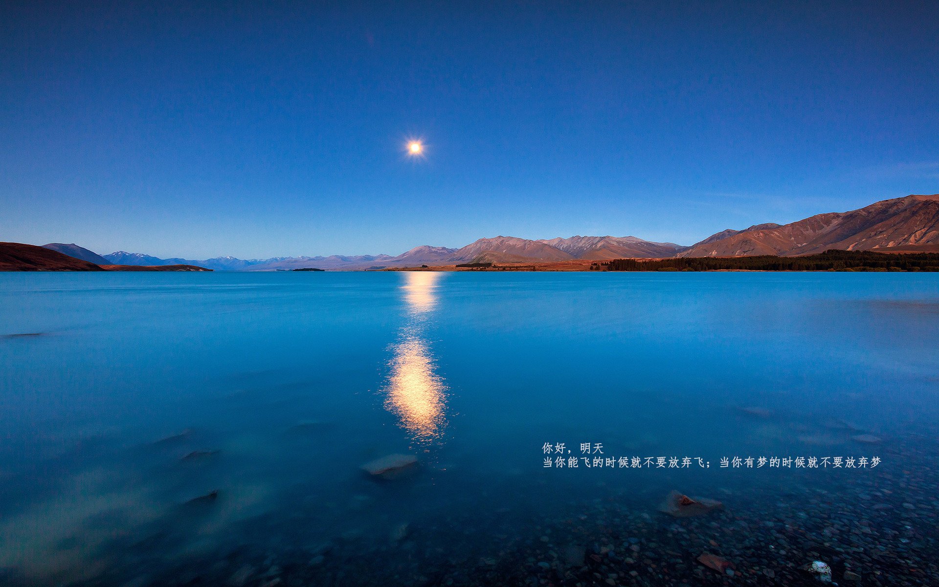 爱游戏在线登录入口-女子选手打破性别偏见，女性打破性别歧视的例子