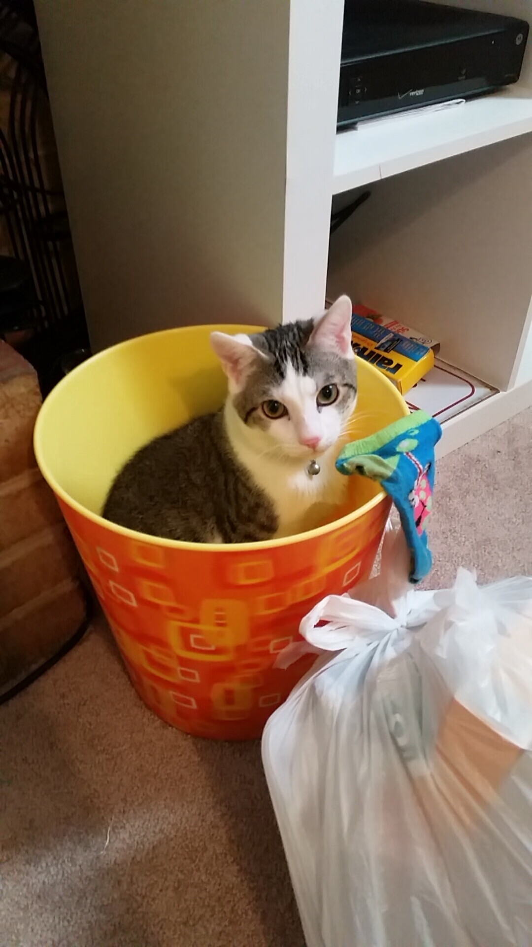 爱游戏下载-欧洲女子篮联赛激烈进行，乌克兰和波兰抢夺冠军宝座，欧洲女子篮球锦标赛