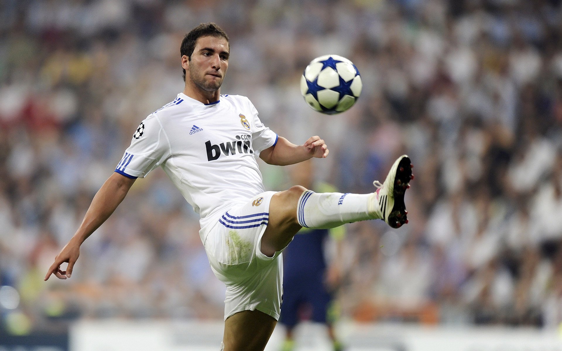 塞内加尔骑手阿卜杜·巴荣获2024年最佳障碍赛骑手奖，表彰其卓越表现。